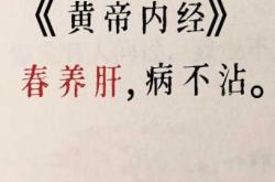 备孕爸爸如何养肾养肝