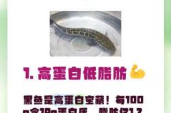 剖腹产几天可以吃黑鱼