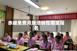 赤峰免费月嫂培训在哪里报名