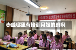 赤峰哪里有培训月嫂的班啊