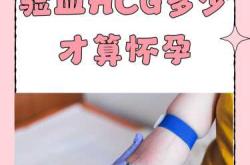 备孕抽血是什么意思啊