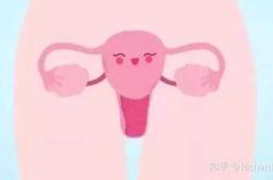 女性备孕必备软件知乎有哪些
