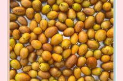 流产后可以吃黄皮果吗