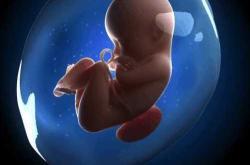 最婴儿的情况是什么样的