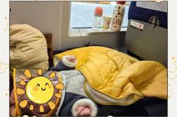 动车上婴儿会面临哪些问题