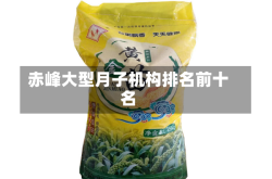 赤峰大型月子机构排名前十名