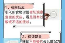 六个月宝宝能吃啥辅食