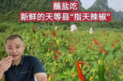 产后40天能不能吃辣椒