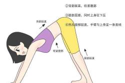 产后运动软件哪个好用