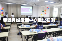 赤峰月嫂陪训中心地址在哪