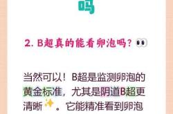 未见优势卵泡能备孕吗