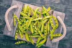 婴儿能吃豌豆吗