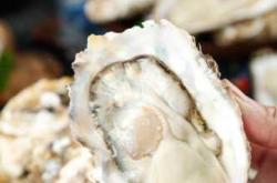 月子期间能吃海蛎子吗