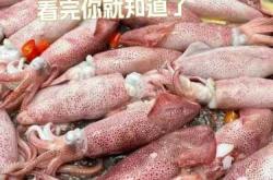 月子期间能吃鱿鱼吗