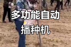 播种网孕反怎么办