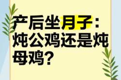 月子里吃母鸡好还是公鸡好