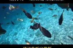 1岁宝宝还适合听胎教音乐吗