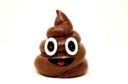 月子里梦见屎是怎么回事