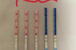 中午验尿能测出怀孕吗