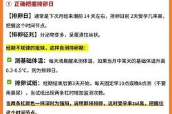 慢性肾炎男性怎么备孕