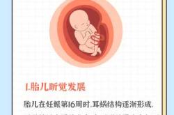 胎教计划海报图片怎么选