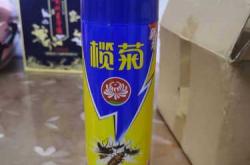 备孕能用黑旋风喷雾剂吗