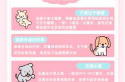 狗狗怀孕40天能洗澡吗