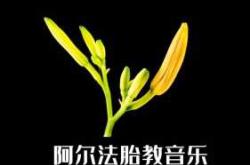 5个月胎教音乐怎么选