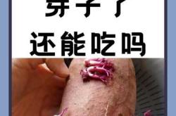 月子里可以吃红薯吗