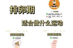 备孕运动何时做好