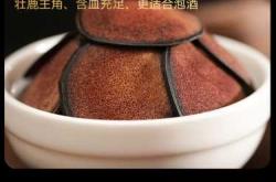 备孕能吃鹿茸肉苁蓉吗