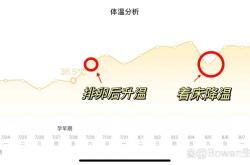 备孕测体温表格如何免费下载