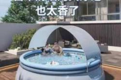 婴儿泳池视频哪里有