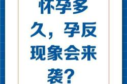 怀孕孕反最早何时出现