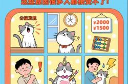 为什么备孕不能养猫咪