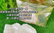 6个月宝宝用啥尿不湿