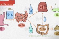 流产后大便干怎么办