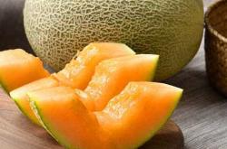 儿童胎教如何进行英语口语训练