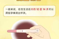 怀孕多久能检查出