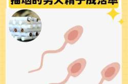 备孕时男生抽烟会有影响吗