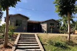 婴儿姹有什么特别之处