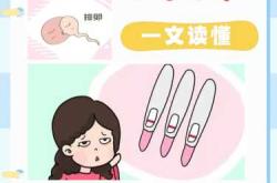 备孕后多久怀孕算正常呢