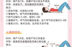 产后子宫恢复运动有哪些