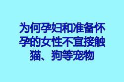 备孕中梦到狗有什么说法吗