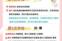 备孕前检查包含哪些项目