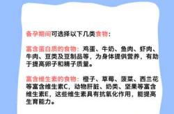 做体检为何不能备孕