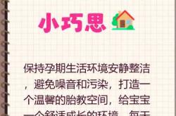 孕妇胎教机构该如何选择