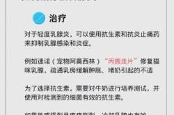 母猫产后化脓怎么办