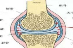 婴儿髋关节b超正常值是多少