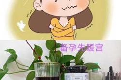 工作很忙没法备孕咋处理